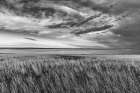 Prairie grasslands and Lake Bowdoin at Bowdoin National Wildlife Refuge near Malta, Montana, USA. Art Print